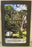 In These Seasons Green: Poems, Prayers, and Prose Along the Way-Patti Jones Morgan