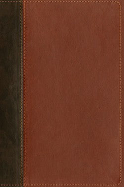 NLT Teen Life Application Study Bible-Brown Leatherlike