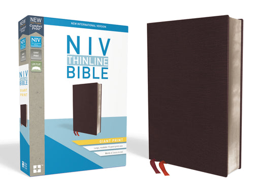 NIV Thinline Bible Giant Print Comfort-Burgundy
