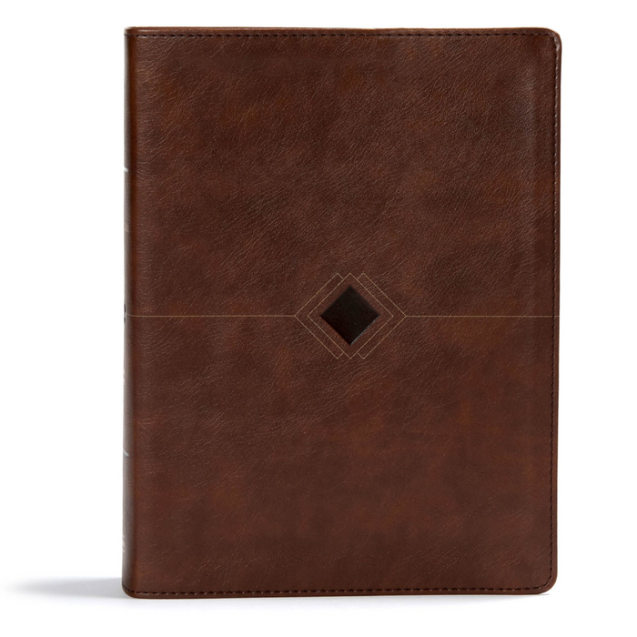 CSB Day By Day Chronological Bible-Brown Leather Touch
